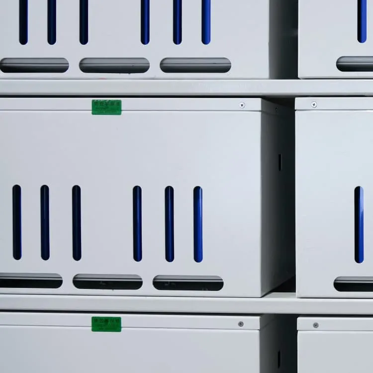 Bolivian Energy Storage Battery BESS